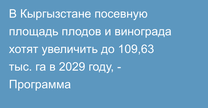 В Кыргызстане посевную площадь плодов и винограда хотят увеличить до 109,63 тыс. га в 2029 году, - Программа