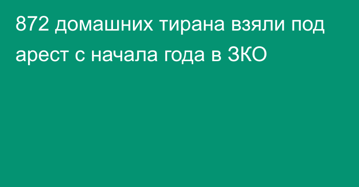 872 домашних тирана взяли под арест с начала года в ЗКО  