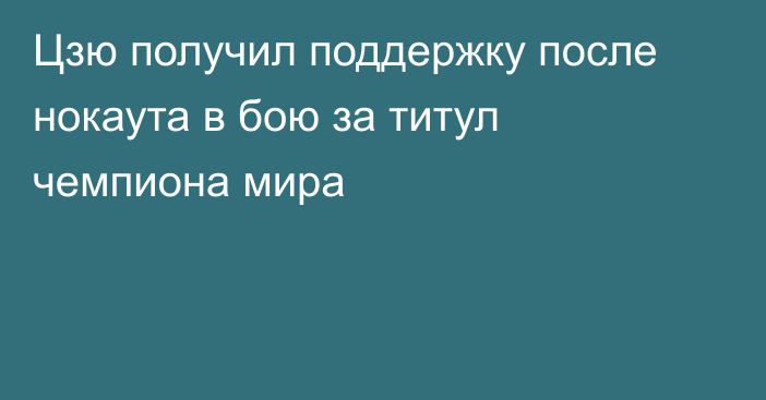 Цзю получил поддержку после нокаута в бою за титул чемпиона мира