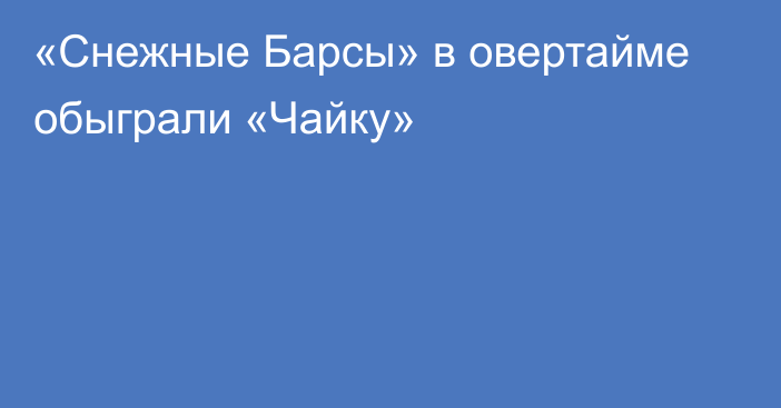 «Снежные Барсы» в овертайме обыграли «Чайку»