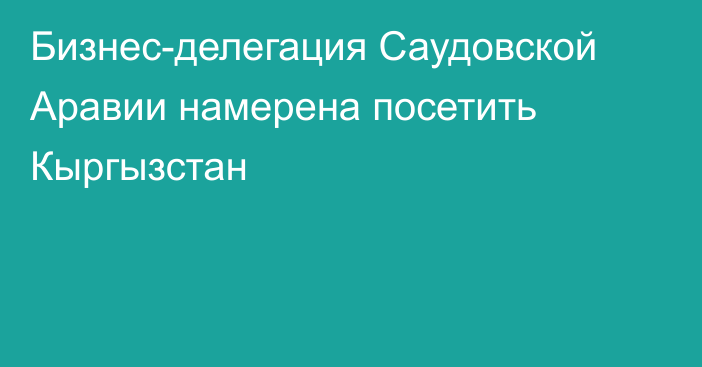 Бизнес-делегация Саудовской Аравии намерена посетить Кыргызстан