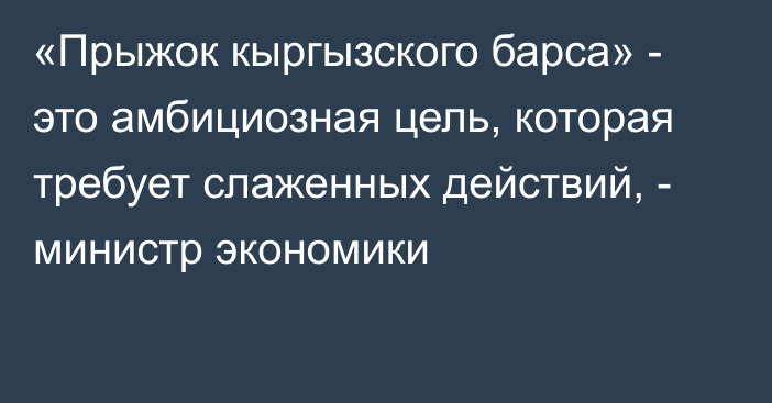 «Прыжок кыргызского барса» - это амбициозная цель, которая требует слаженных действий, - министр экономики