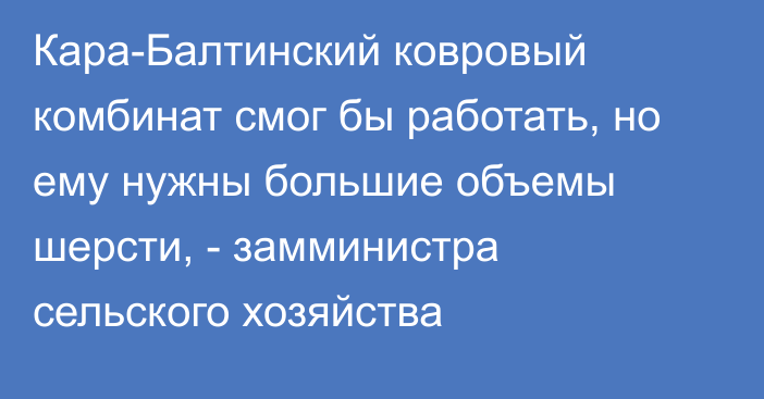 Кара-Балтинский ковровый комбинат смог бы работать, но ему нужны большие объемы шерсти, - замминистра сельского хозяйства