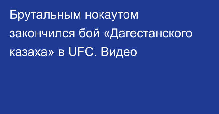 Брутальным нокаутом закончился бой «Дагестанского казаха» в UFC. Видео