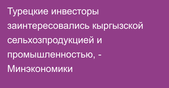 Турецкие инвесторы заинтересовались кыргызской сельхозпродукцией и промышленностью, - Минэкономики