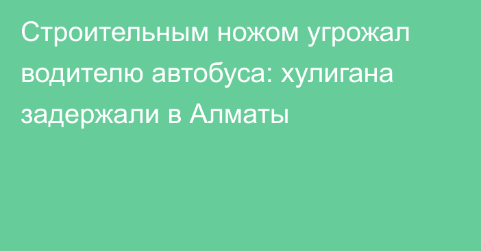 Строительным ножом угрожал водителю автобуса: хулигана задержали в Алматы