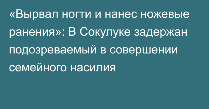 «Вырвал ногти и нанес ножевые ранения»: В Сокулуке задержан подозреваемый в совершении семейного насилия