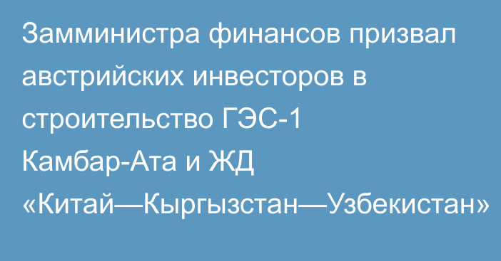 Замминистра финансов призвал австрийских инвесторов в строительство ГЭС-1 Камбар-Ата и ЖД «Китай—Кыргызстан—Узбекистан»