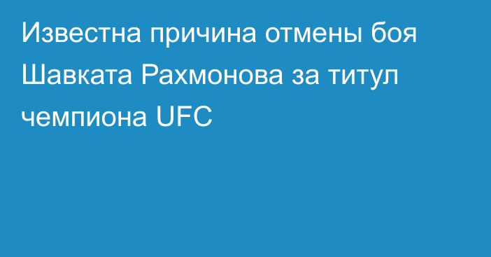 Известна причина отмены боя Шавката Рахмонова за титул чемпиона UFC