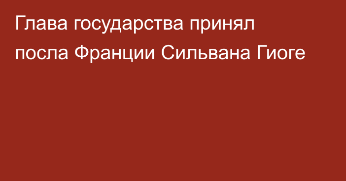 Глава государства принял посла Франции Сильвана Гиоге