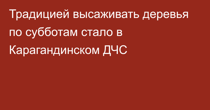 Традицией высаживать деревья по субботам стало в Карагандинском ДЧС