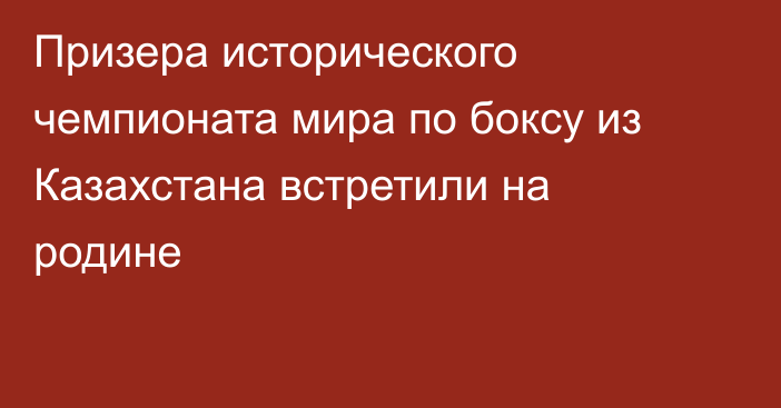 Призера исторического чемпионата мира по боксу из Казахстана встретили на родине