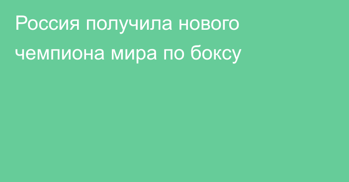 Россия получила нового чемпиона мира по боксу