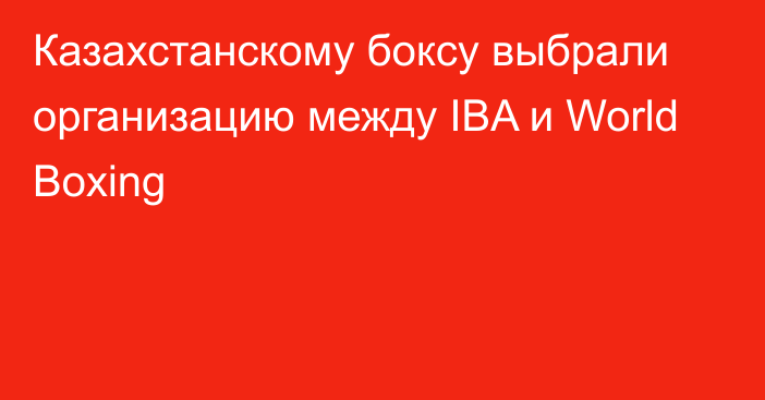 Казахстанскому боксу выбрали организацию между IBA и World Boxing