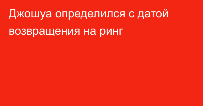 Джошуа определился с датой возвращения на ринг