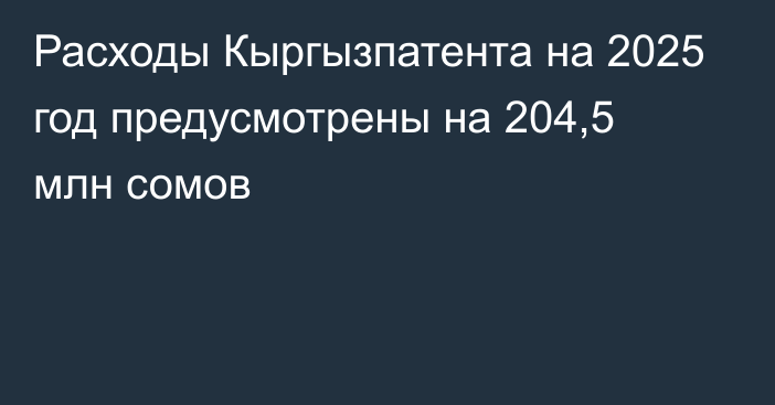 Расходы Кыргызпатента на 2025 год предусмотрены на 204,5 млн сомов