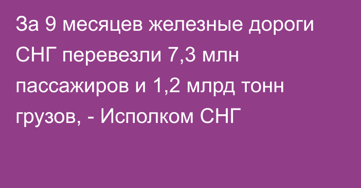 За 9 месяцев железные дороги СНГ перевезли 7,3 млн пассажиров и 1,2 млрд тонн грузов, - Исполком СНГ