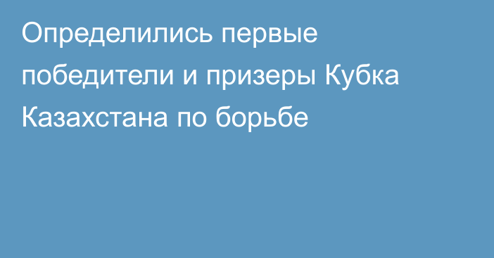 Определились первые победители и призеры Кубка Казахстана по борьбе