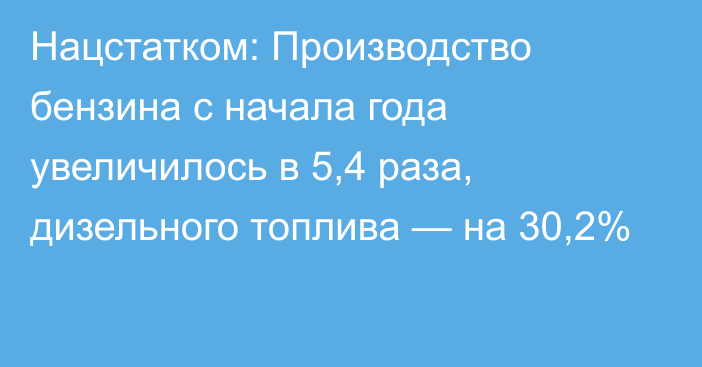 Нацстатком: Производство бензина с начала года увеличилось в 5,4 раза, дизельного топлива — на 30,2%