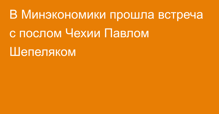 В Минэкономики прошла встреча с послом Чехии Павлом Шепеляком