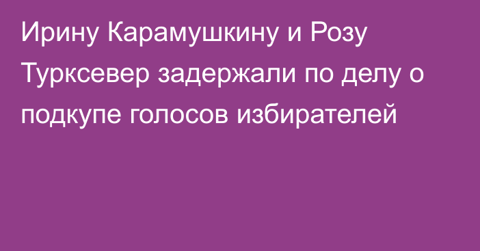 Ирину Карамушкину и Розу Турксевер задержали по делу о подкупе голосов избирателей