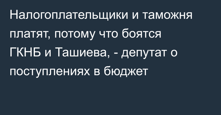 Налогоплательщики и таможня платят, потому что боятся ГКНБ и Ташиева, - депутат о поступлениях в бюджет