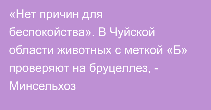 «Нет причин для беспокойства». В Чуйской области животных с меткой «Б» проверяют на бруцеллез, - Минсельхоз