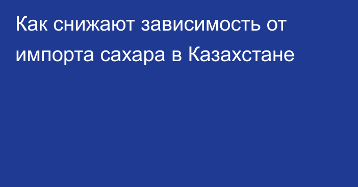 Как снижают зависимость от импорта сахара в Казахстане