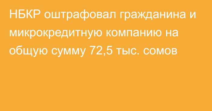 НБКР оштрафовал гражданина и микрокредитную компанию на общую сумму 72,5 тыс. сомов