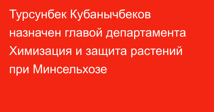 Турсунбек Кубанычбеков назначен главой департамента Химизация и защита растений при Минсельхозе 