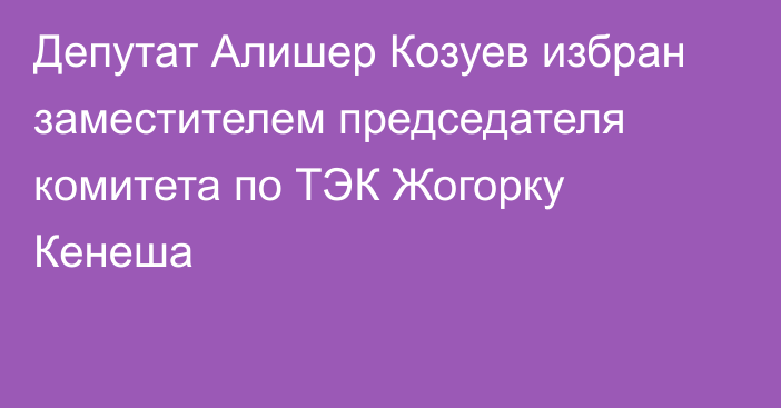 Депутат Алишер Козуев избран заместителем председателя комитета по ТЭК Жогорку Кенеша