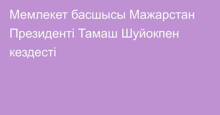 Мемлекет басшысы Мажарстан Президенті Тамаш Шуйокпен кездесті