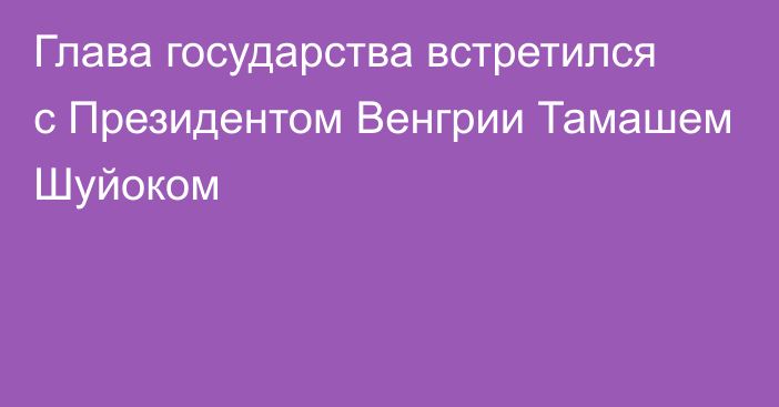 Глава государства встретился с Президентом Венгрии Тамашем Шуйоком