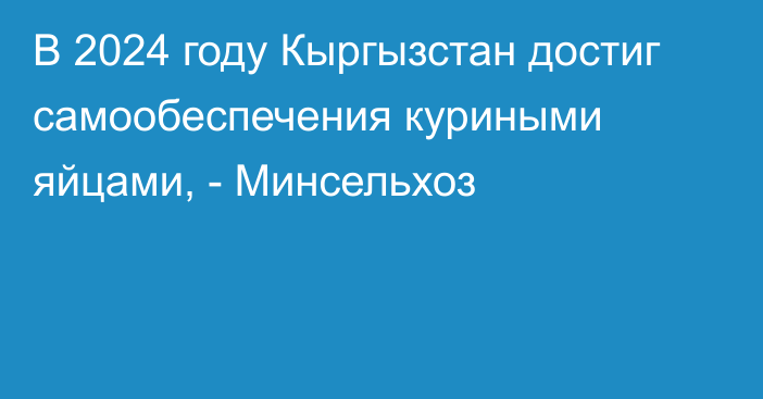 В 2024 году Кыргызстан достиг самообеспечения куриными яйцами, - Минсельхоз