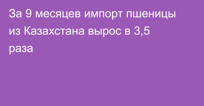 За 9 месяцев импорт пшеницы из Казахстана вырос в 3,5 раза