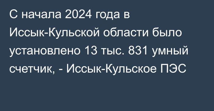 С начала 2024 года в Иссык-Кульской области было установлено 13 тыс. 831 умный счетчик, - Иссык-Кульское ПЭС