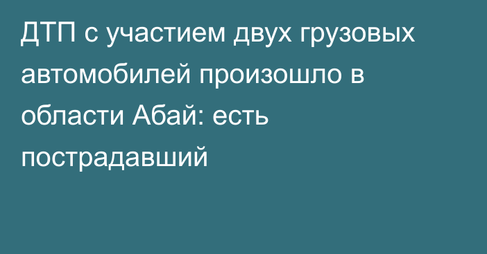 ДТП с участием двух грузовых автомобилей произошло в области Абай: есть пострадавший