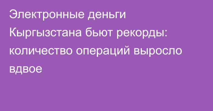 Электронные деньги Кыргызстана бьют рекорды: количество операций выросло вдвое