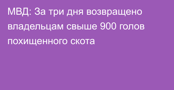 МВД: За три дня возвращено владельцам свыше 900 голов похищенного скота