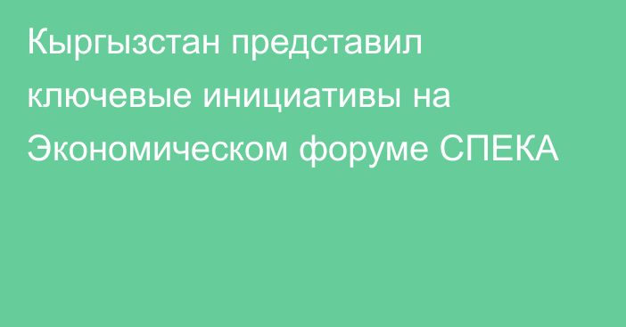 Кыргызстан представил ключевые инициативы на Экономическом форуме СПЕКА