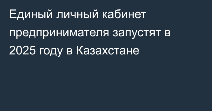 Единый личный кабинет предпринимателя запустят в 2025 году в Казахстане