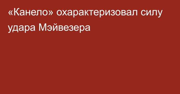 «Канело» охарактеризовал силу удара Мэйвезера