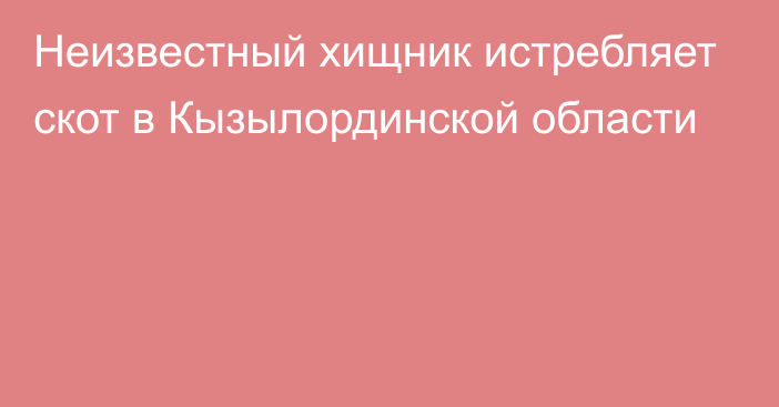 Неизвестный хищник истребляет скот в Кызылординской области