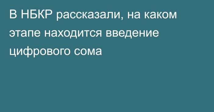 В НБКР рассказали, на каком этапе находится введение цифрового сома