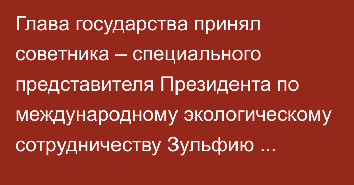 Глава государства принял советника – специального представителя Президента по международному экологическому сотрудничеству Зульфию Сулейменову