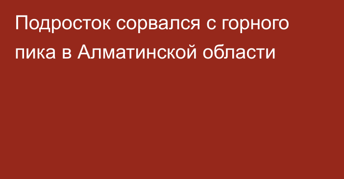 Подросток сорвался с горного пика в Алматинской области