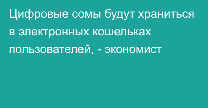 Цифровые сомы будут храниться в электронных кошельках пользователей, - экономист