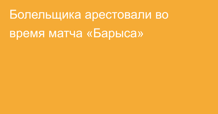 Болельщика арестовали во время матча «Барыса»