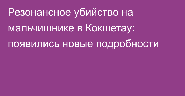 Резонансное убийство на мальчишнике в Кокшетау: появились новые подробности