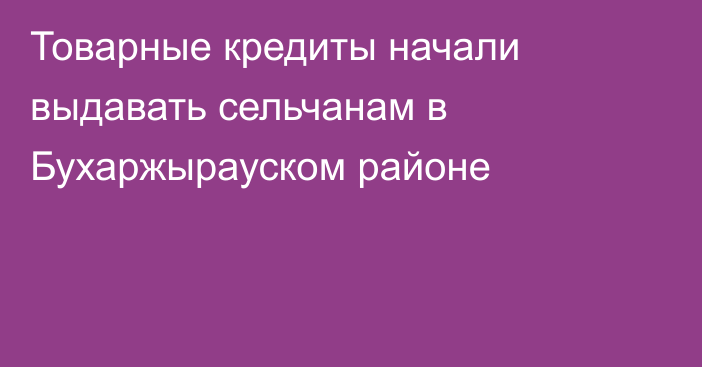 Товарные кредиты начали выдавать сельчанам в Бухаржырауском районе